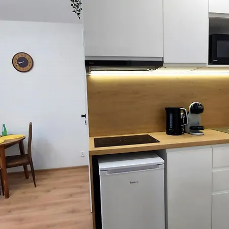 Lägenhet Theapartments Gdanska