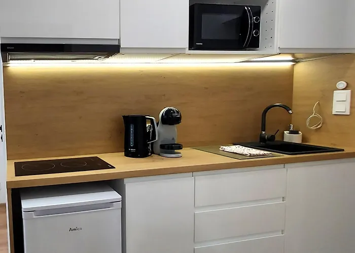 Theapartments Gdanska Łódź